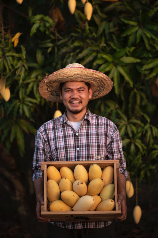 Thai Mangos